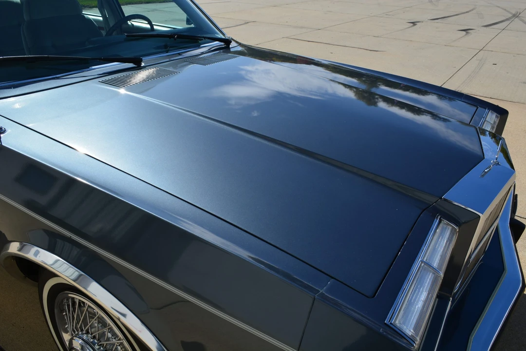 1985 Dodge Diplomat - Image 26 of 31