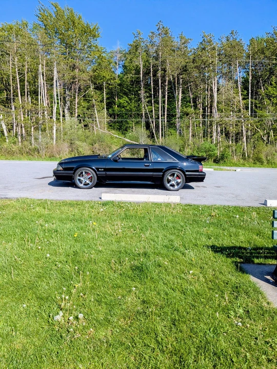 1989 Ford Mustang 3rd Gen - Image 14 of 31