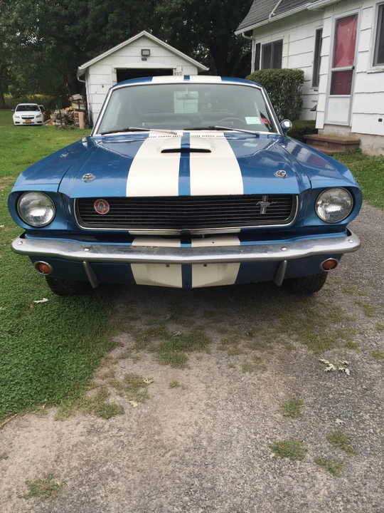 1966 Shelby GT350 - Image 6 of 31