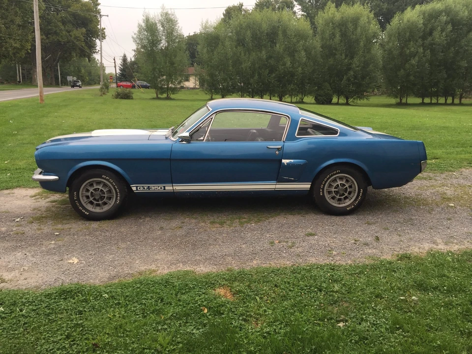 1966 Shelby GT350 - Image 7 of 31