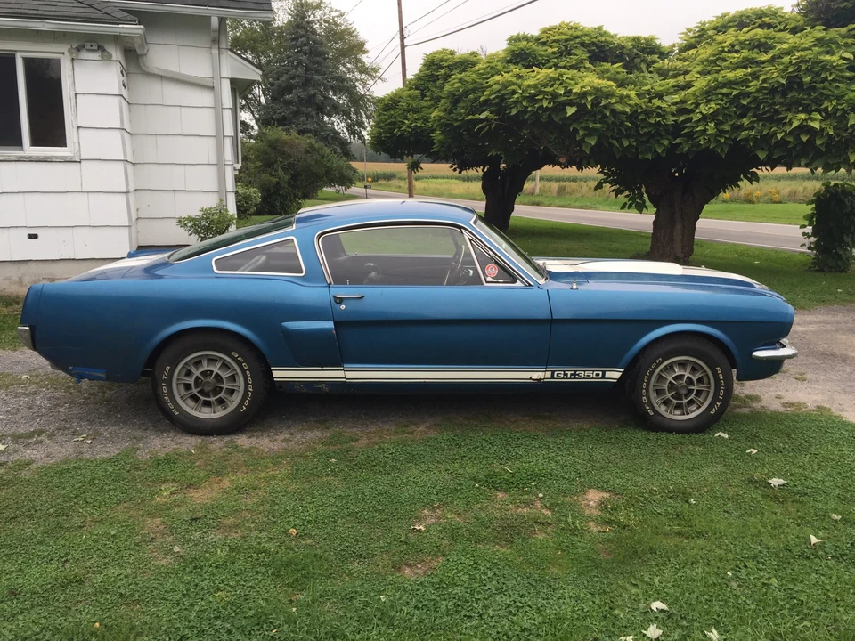 1966 Shelby GT350 - Image 10 of 31