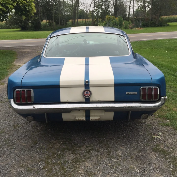 1966 Shelby GT350 - Image 8 of 31