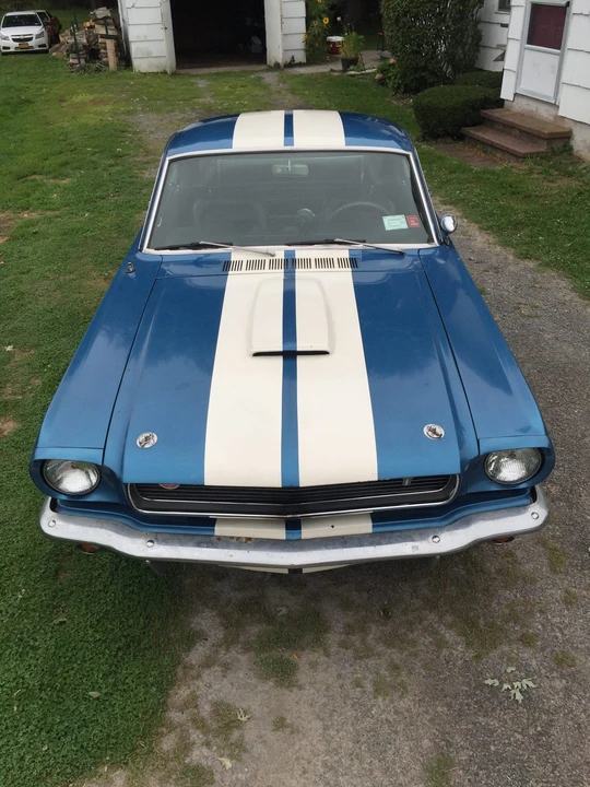 1966 Shelby GT350 - Image 4 of 31