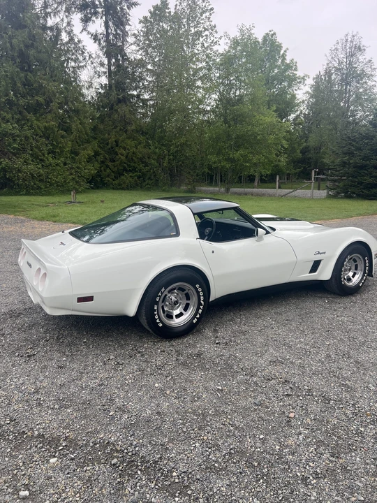 1981 Chevrolet Corvette C3 - Image 23 of 31