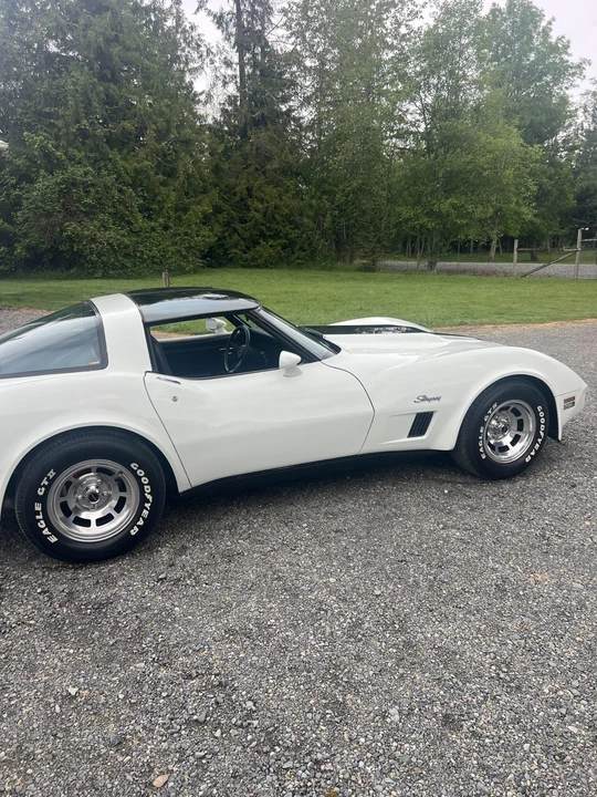 1981 Chevrolet Corvette C3 - Image 22 of 31