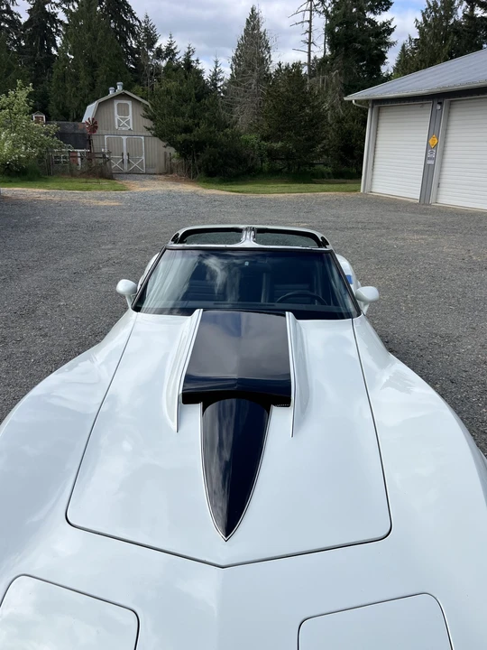 1981 Chevrolet Corvette C3 - Image 20 of 31