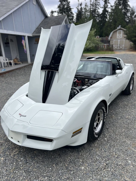 1981 Chevrolet Corvette C3 - Image 16 of 31