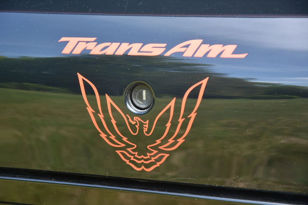 2001 Pontiac Firebird Trans Am 4th Gen - Image 26 of 31