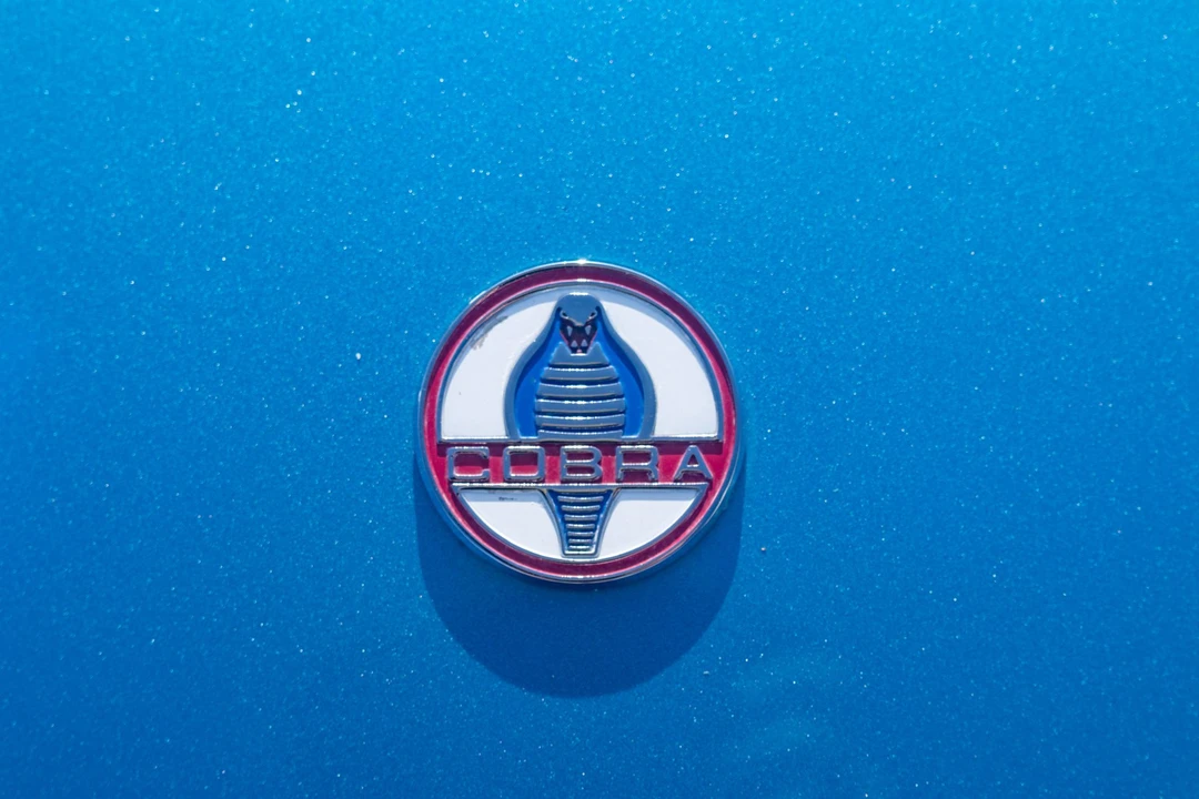 Shelby Cobra Replica - Image 12 of 31