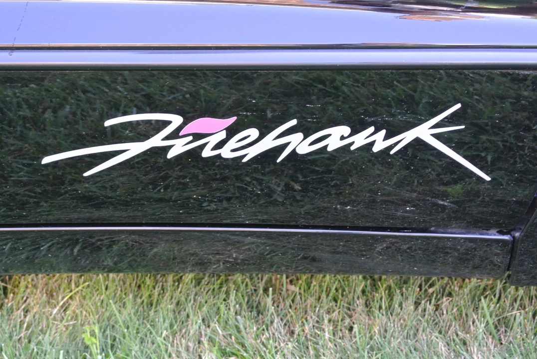 2001 Pontiac Firebird 4th Gen - Image 9 of 31