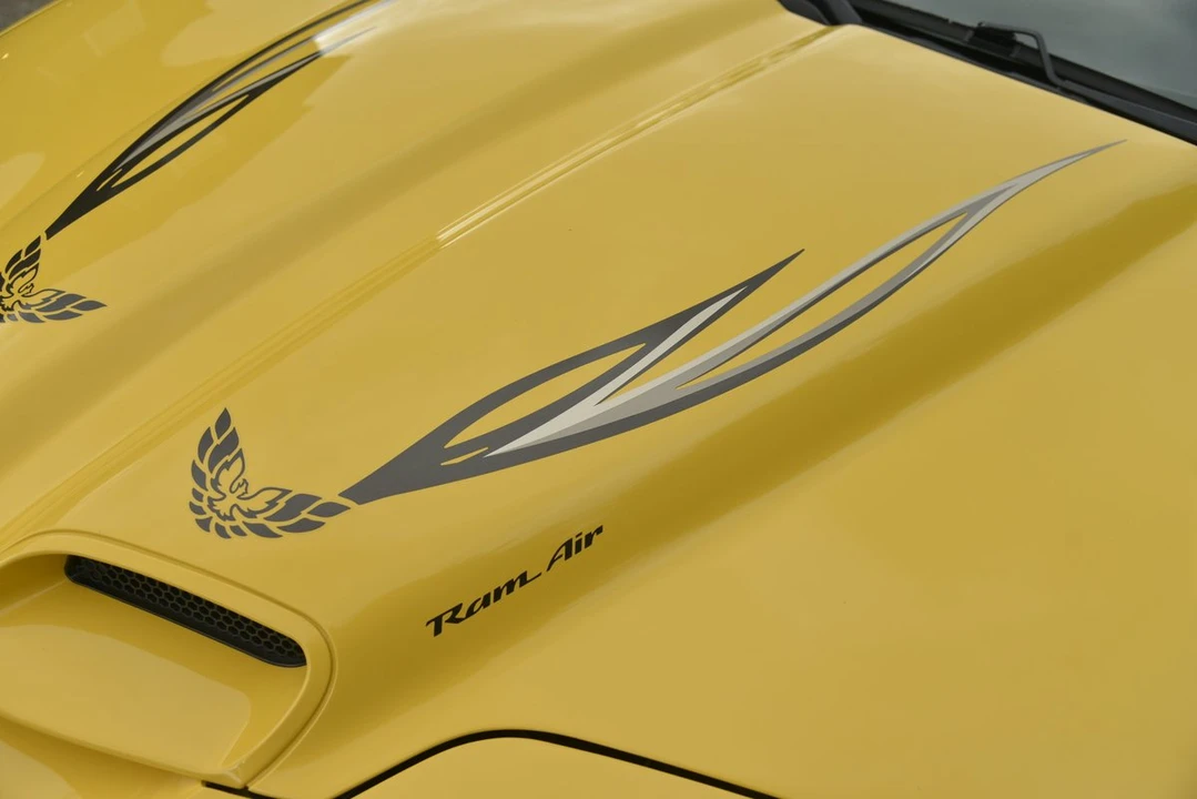 2002 Pontiac Firebird Trans Am 4th Gen - Image 25 of 31