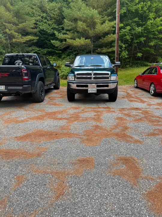 1995 Dodge Ram 2nd Gen - Image 10 of 31