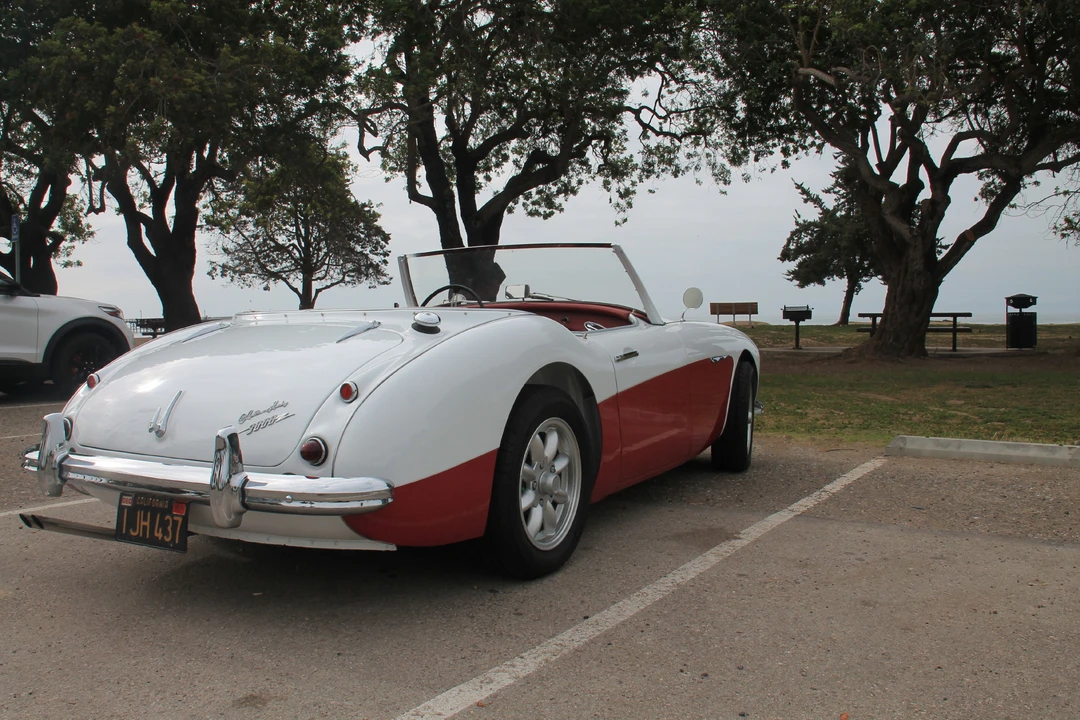 1961 Austin-Healey 3000 Mark I - Image 14 of 31