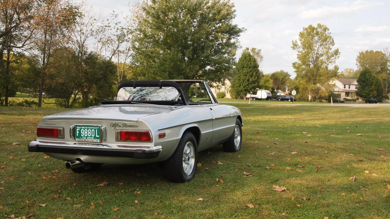 1973 Alfa Romeo Series 2 - Image 12 of 31