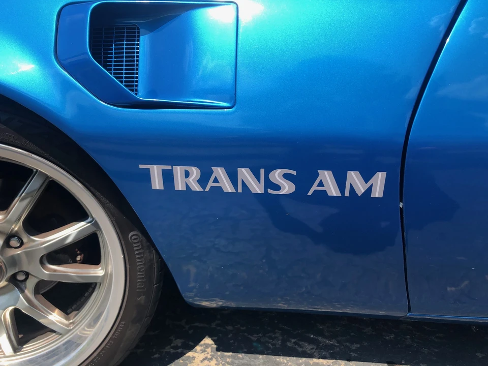 1981 Pontiac Firebird Trans Am 2nd Gen - Image 30 of 31