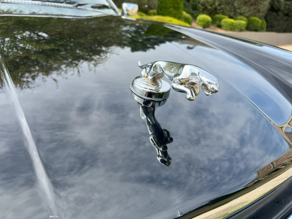 1986 Jaguar XJS - Image 13 of 31