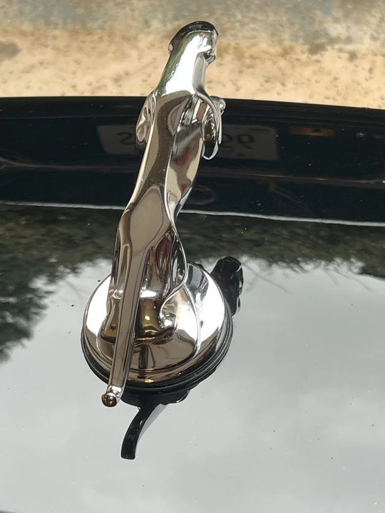 1986 Jaguar XJS - Image 19 of 31