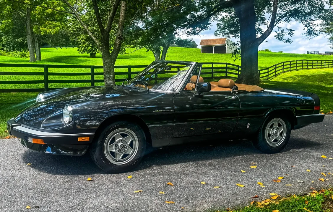 1984 Alfa Romeo Series 3 - Image 6 of 6