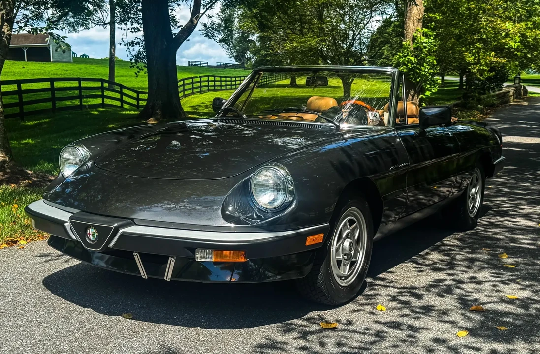 1984 Alfa Romeo Series 3 - Image 3 of 6