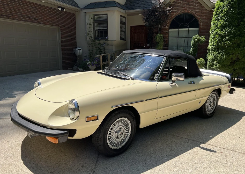 1981 Alfa Romeo Series 2 - Image 2 of 31