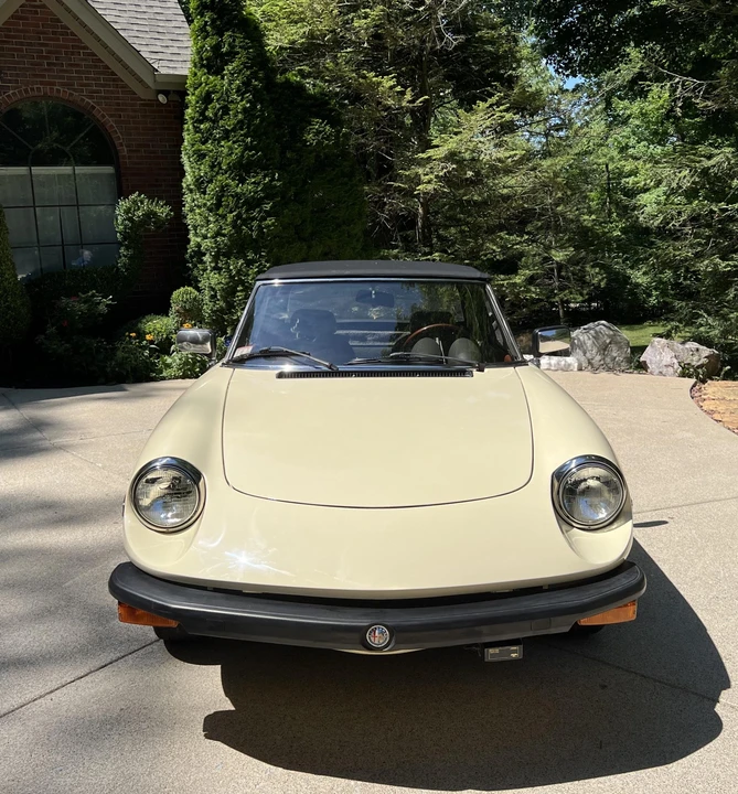 1981 Alfa Romeo Series 2 - Image 9 of 31