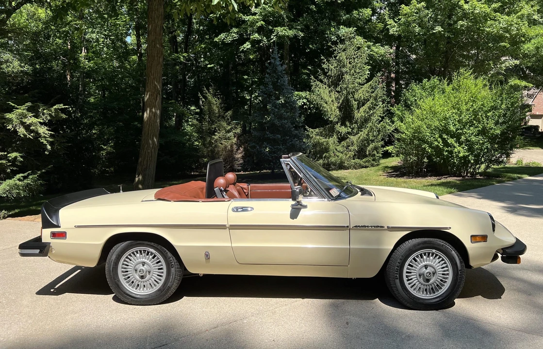 1981 Alfa Romeo Series 2 - Image 15 of 31