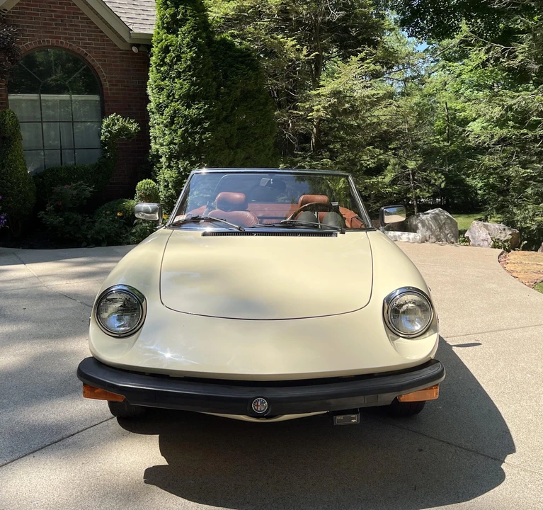 1981 Alfa Romeo Series 2 - Image 19 of 31