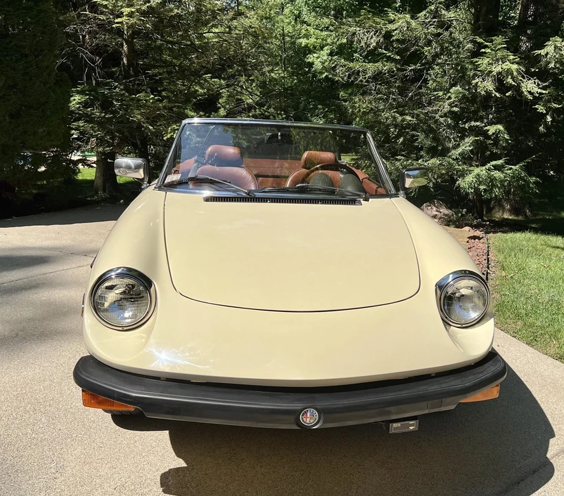 1981 Alfa Romeo Series 2 - Image 20 of 31