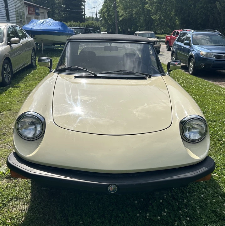 1981 Alfa Romeo Series 2 - Image 21 of 31