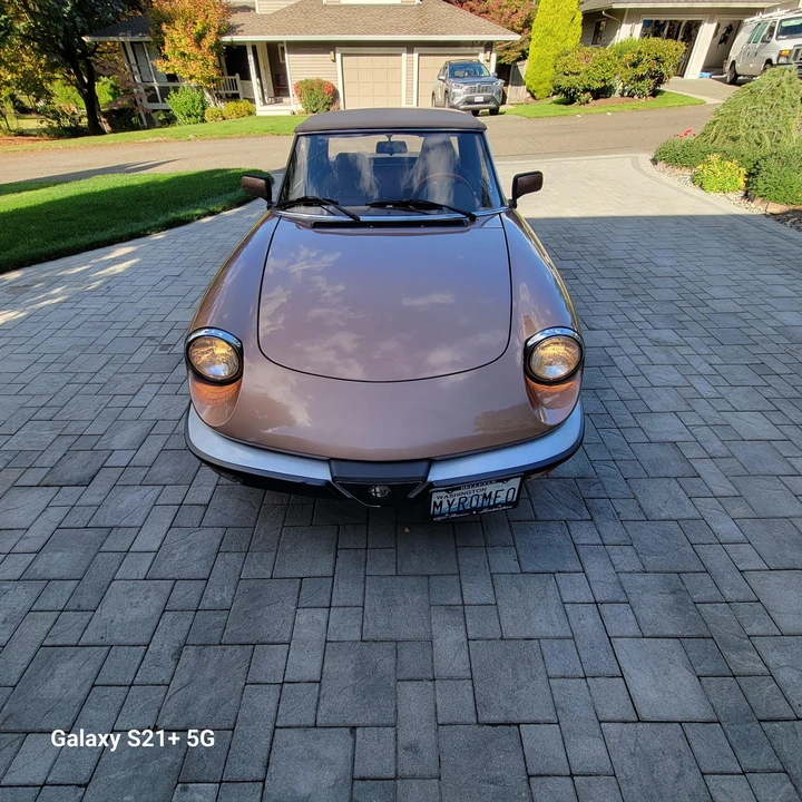 1983 Alfa Romeo Series 3 - Image 9 of 31