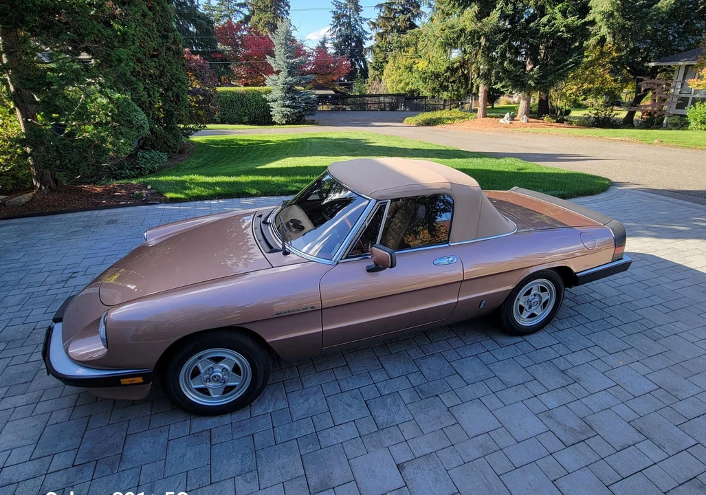 1983 Alfa Romeo Series 3 - Image 3 of 31