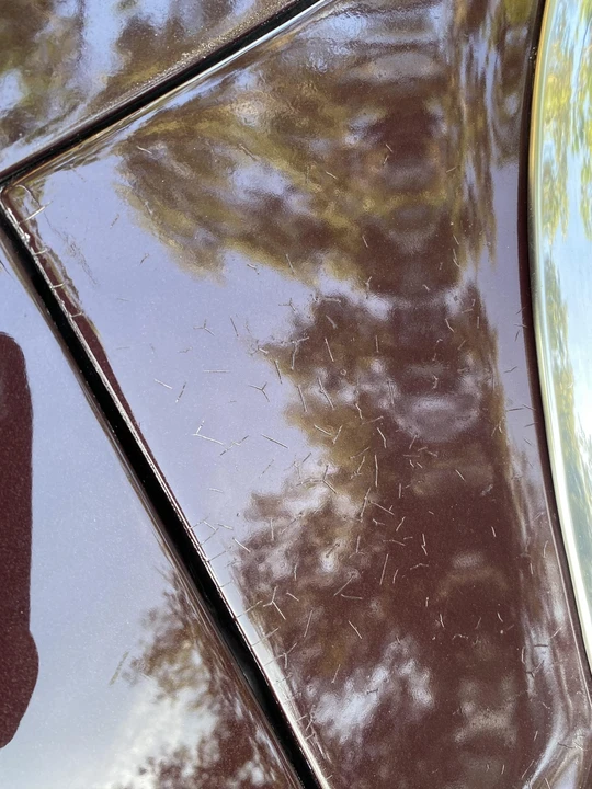 1964 Ford Galaxie 2nd Gen - Image 23 of 31