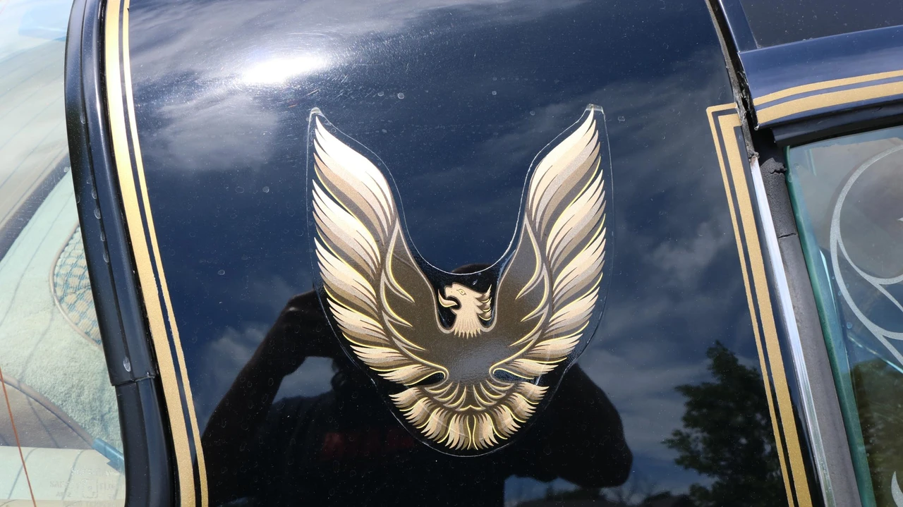 1980 Pontiac Firebird Trans Am 2nd Gen - Image 18 of 31