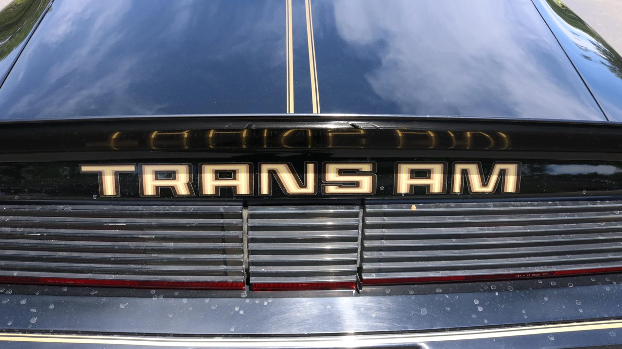 1980 Pontiac Firebird Trans Am 2nd Gen - Image 19 of 31
