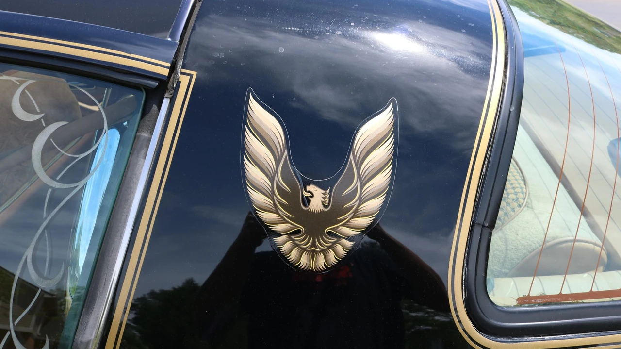 1980 Pontiac Firebird Trans Am 2nd Gen - Image 27 of 31