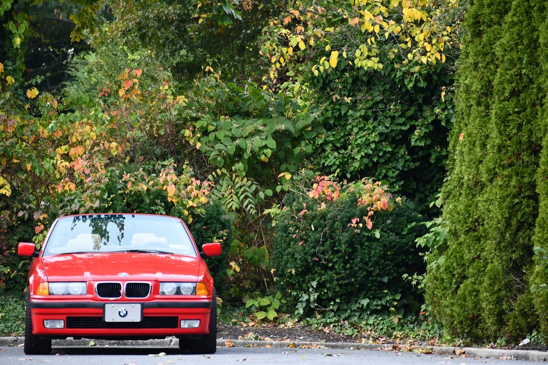 1999 BMW E36 3 Series - Image 2 of 31