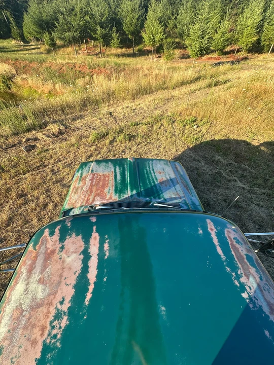 1968 Ford F-Series 5th Gen - Image 19 of 31