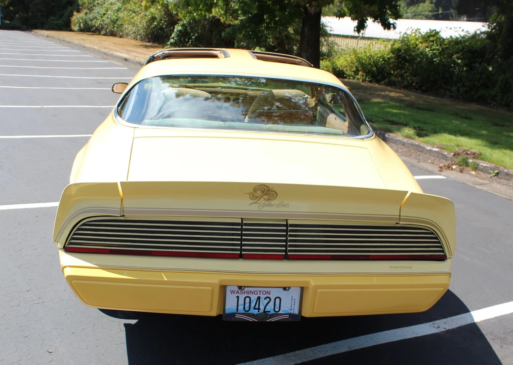 1980 Pontiac Firebird 2nd Gen - Image 31 of 31