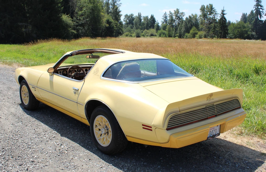 1980 Pontiac Firebird 2nd Gen - Image 16 of 31