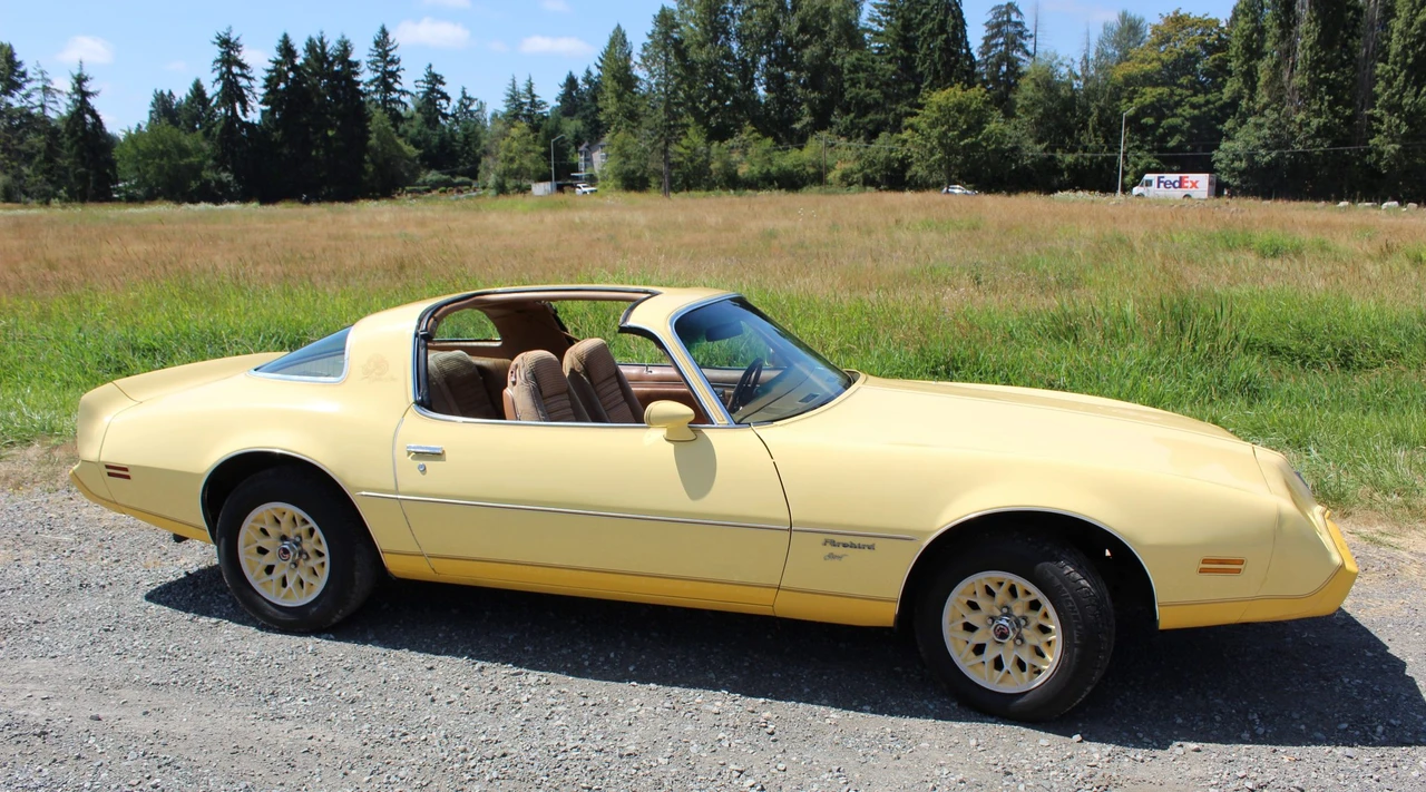 1980 Pontiac Firebird 2nd Gen - Image 13 of 31