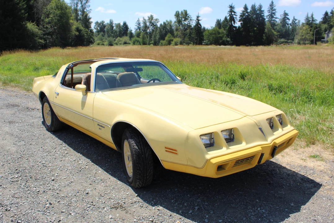1980 Pontiac Firebird 2nd Gen - Image 9 of 31