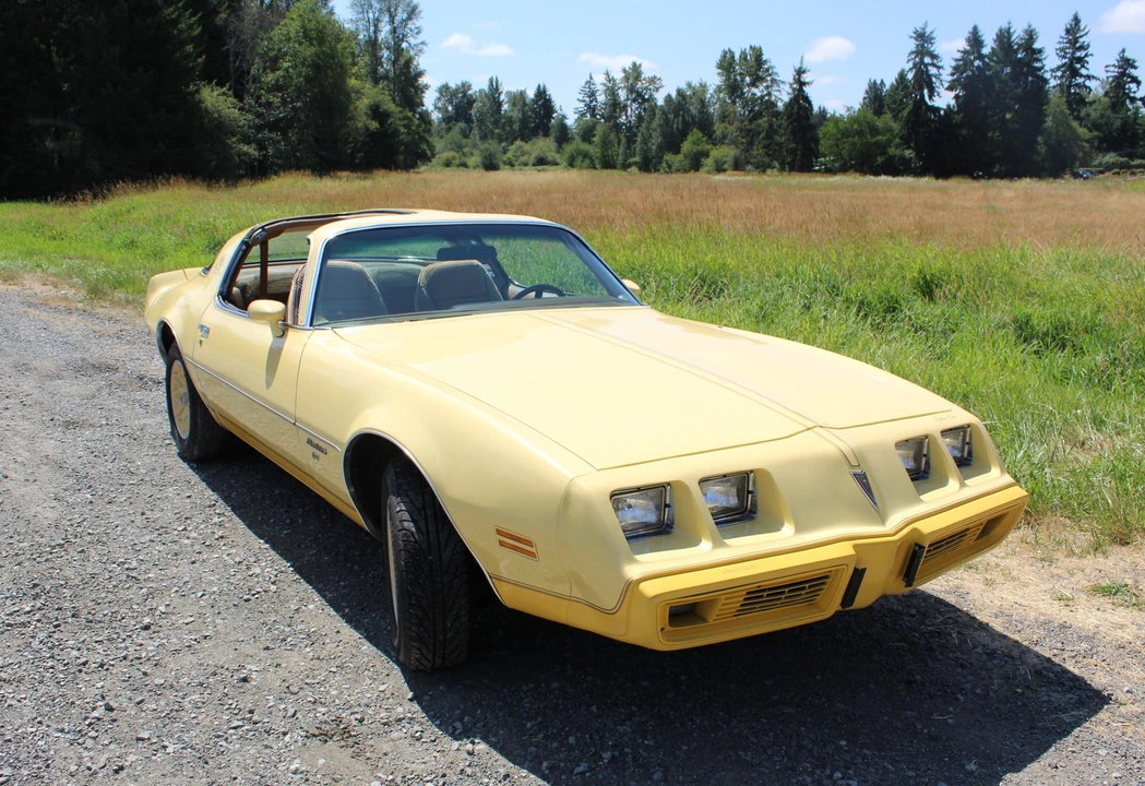 1980 Pontiac Firebird 2nd Gen - Image 7 of 31