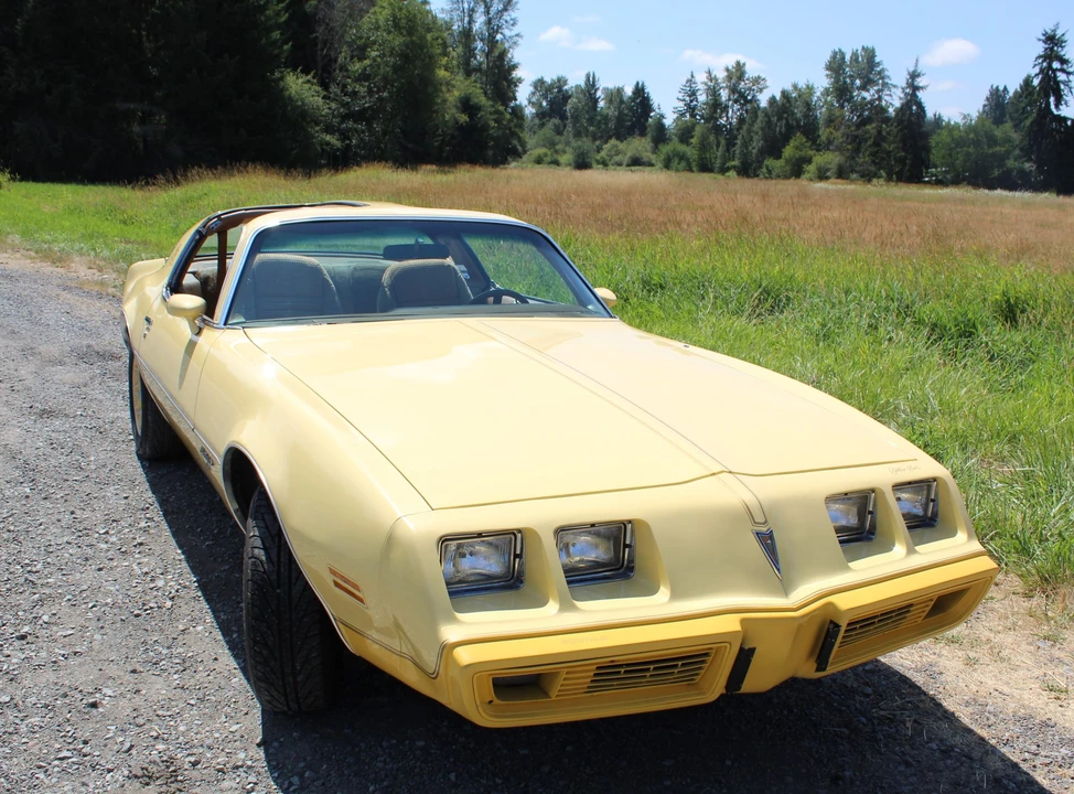 1980 Pontiac Firebird 2nd Gen - Image 6 of 31
