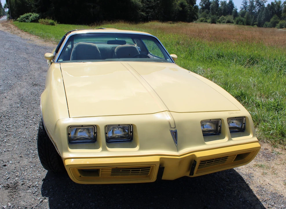 1980 Pontiac Firebird 2nd Gen - Image 4 of 31