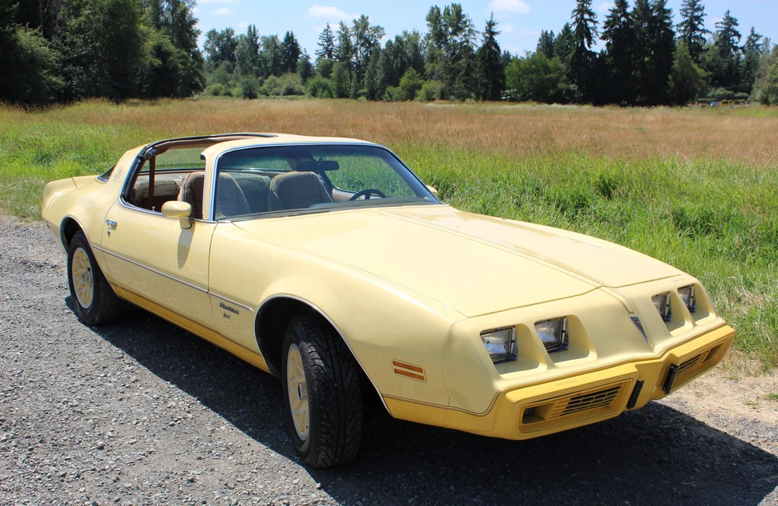1980 Pontiac Firebird 2nd Gen - Image 8 of 31