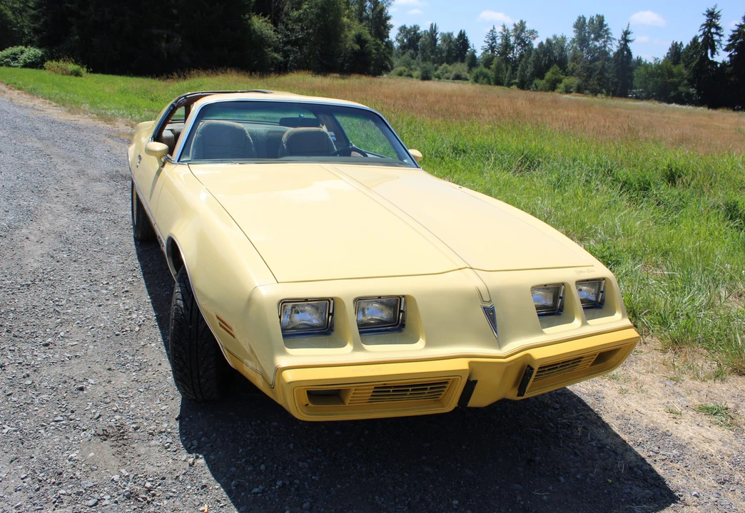 1980 Pontiac Firebird 2nd Gen - Image 5 of 31