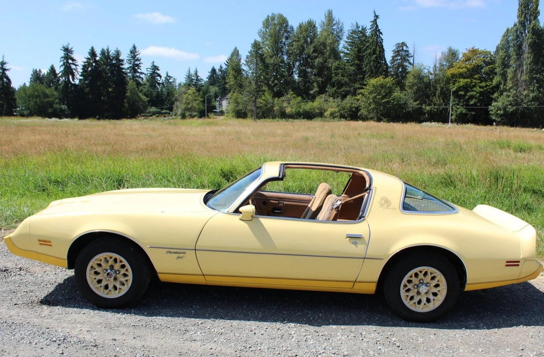 1980 Pontiac Firebird 2nd Gen - Image 18 of 31