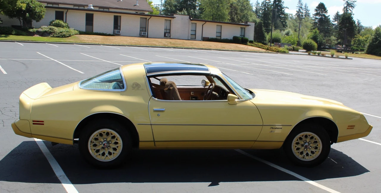 1980 Pontiac Firebird 2nd Gen - Image 28 of 31