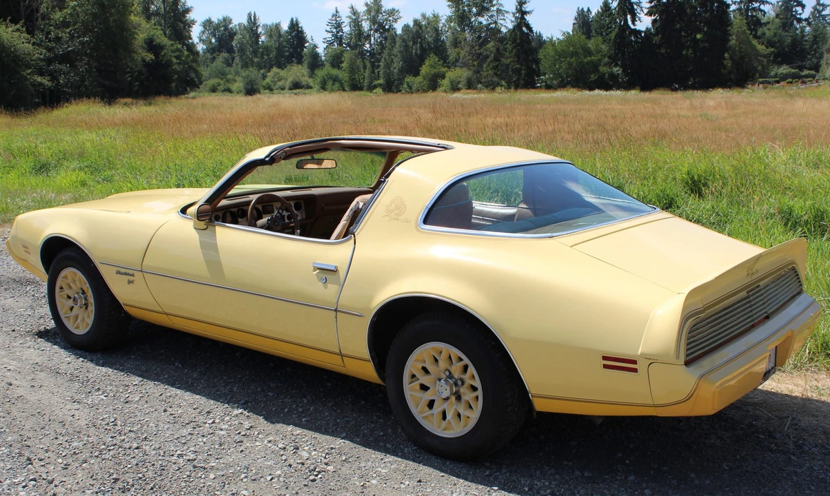 1980 Pontiac Firebird 2nd Gen - Image 17 of 31