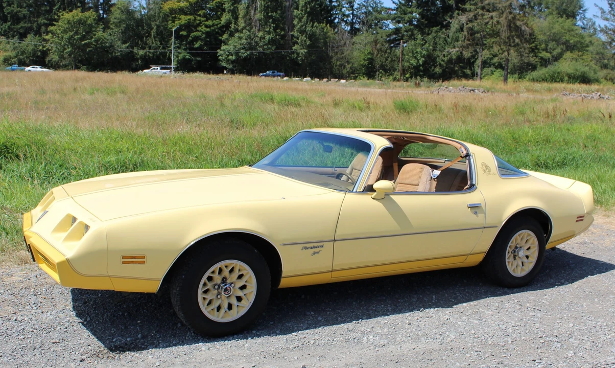 1980 Pontiac Firebird 2nd Gen - Image 2 of 31